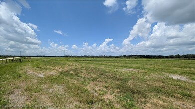 0 Johnston Rd unit 319828, Zolfo Springs, FL 33890 - photo 6