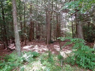 40 Glendale Rd, Fiskdale, MA 01518 - photo 2