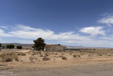 IMG_9503