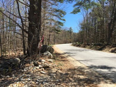 46acres Acton Ridge Rd, Acton, ME 04001 - photo 4