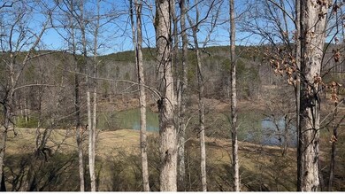 93 Stoney Ledge Rd, Fairmount, GA 30139 - photo 2