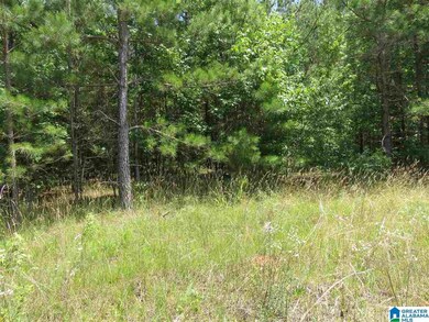 0 County Road 329 unit 8.41 1289420, Wedowee, AL 36278 - photo 2