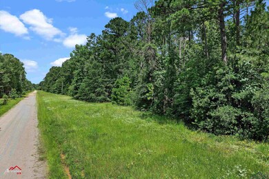 View of dirt / gravel road with a forest view