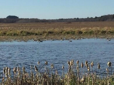 N8573 County Road H, Camp Douglas, WI 54618 - photo 3