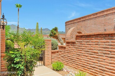 A peak of Mountain views