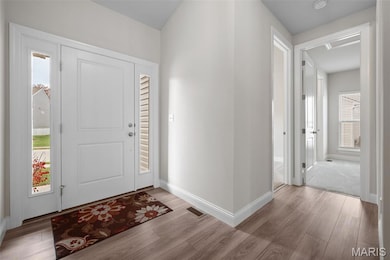 117 Gronefeld Ct, Saint Peters, MO 63303 - photo 6