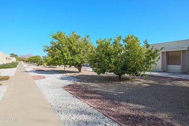 17255 N 106th Ave, Sun City, AZ 85373 - photo 3