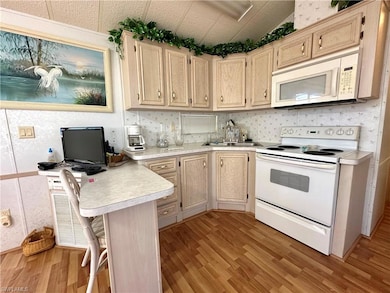 4590 Candlestick Ct E, Estero, FL 33928 - photo 6