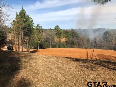 13149 Fm 848, Whitehouse, TX 75791 - photo 4