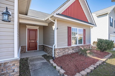 734 Deertrack Run, Lexington, SC 29073 - photo 3