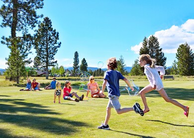 Saturdays In The Park