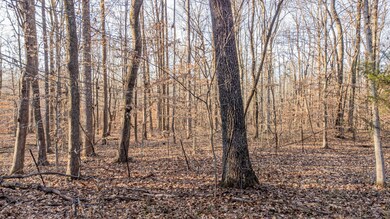 0 Mt Vernon Rd W, Bethpage, TN 37022 - photo 3