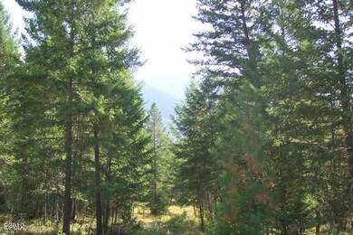 259 Mountain Timbers Dr, Columbia Falls, MT 59912 - photo 5