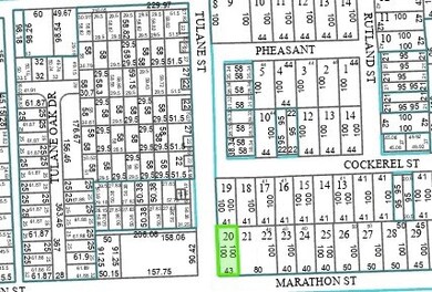 226 Marathon St, Houston, TX 77018 - photo 5