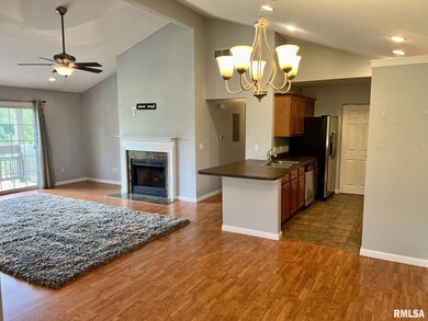 4569 N Thornhill Dr unit 201B, Peoria, IL 61615 - photo 4