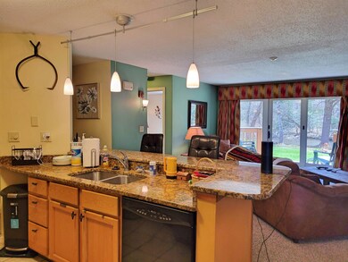 79 Riverfront Dr unit 194, Woodstock, NH 03262 - photo 6