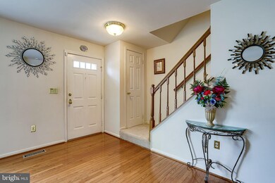 241 Finchingfield Ct, Sterling, VA 20165 - photo 5