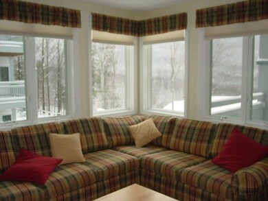 0 Falcon 7 Option A unit 4878537, Cambridge, VT 05464 - photo 3