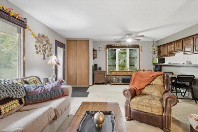 4880 Grenwich Trail N unit 72E, Saint Paul, MN 55128 - photo 7