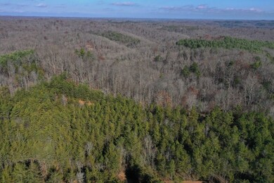 Wild Dog Creek Lot unit Wp 19 & 20, Tyner, KY 40486 - photo 4
