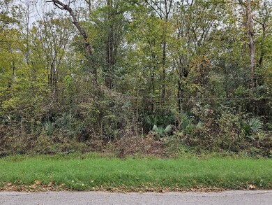 0000 Rd, Conroe, TX 77302 - photo 3