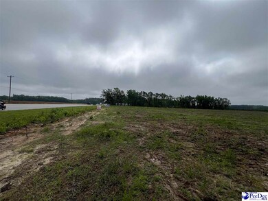 TBD Harry Byrd Hwy, Darlington, SC 29532 - photo 4