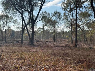 Lot 2 TBD County Road 4108, Henderson, TX 75654 - photo 3