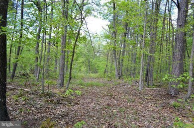 0 Lot 12 Secession Ln unit 1003490994, New Market, VA 22844 - photo 6