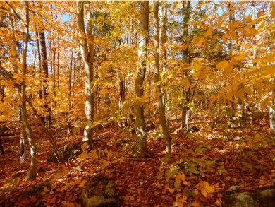 3 Old Post Rd, Newbury, NH 03255 - photo 7