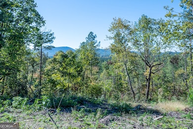 3875 Hwy 140 NE, Rydal, GA 30171 - photo 2