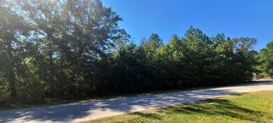 TBD Alexandria Dr, Conroe, TX 77302 - photo 6