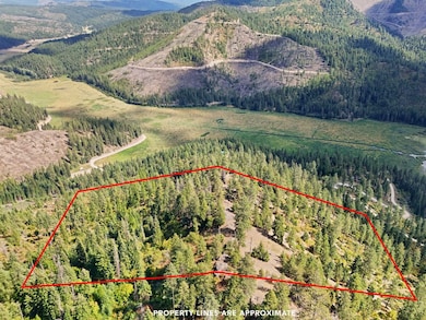 4139 N Deer Lake Rd unit LOT 5, Loon Lake, WA 99148 - photo 4