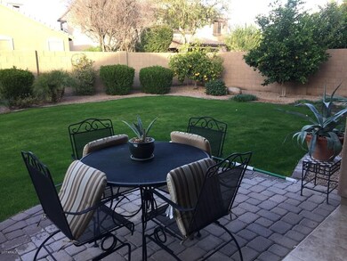 Backyard 1