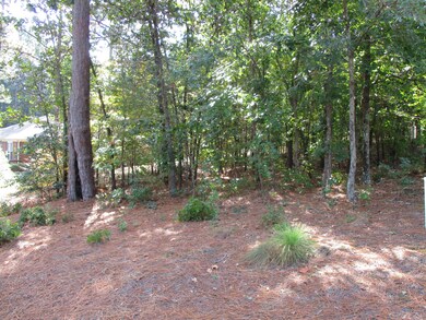 25 Aronimink Ln Back (3)