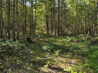 Gerard - McWilliams Lk Rd - trail
