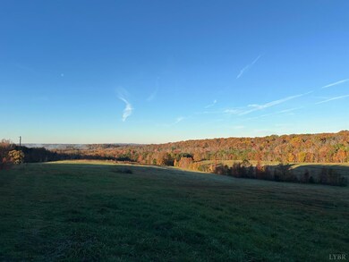 0 McIver Ferry Rd, Gladys, VA 24554 - photo 5