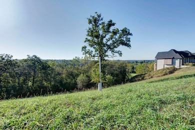 3232 W Bluffview St, Springfield, MO 65810 - photo 6