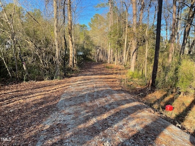 0 Turlington Rd unit 10127617, Dunn, NC 28334 - photo 4