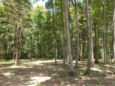 4821 Kedron Rd, Spring Hill, TN 37174 - photo 4