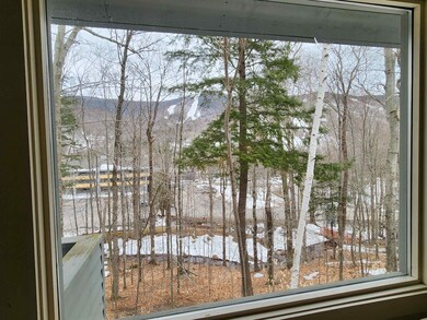 View from the family room