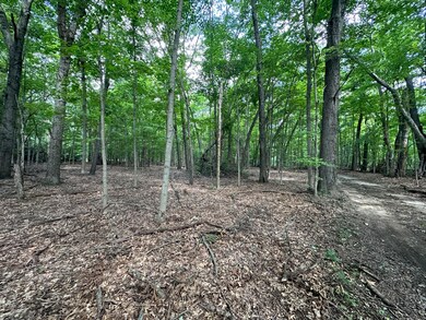 Beautiful Wooded Lot