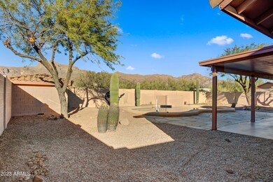 view from west side of back yard 20th