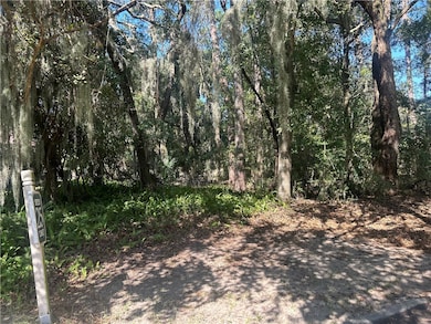 181 Rice Mill, St. Simons, GA 31522 - photo 2