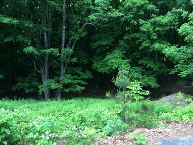 8.35 Acre Building Lot. Great...