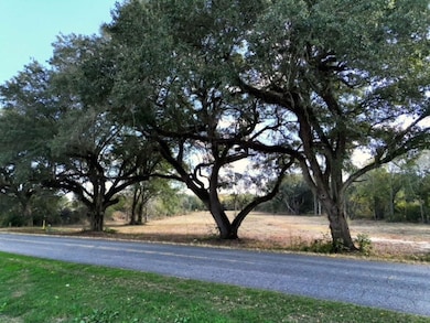 Tbd Goodson Rd, Camilla, GA 31730 - photo 3