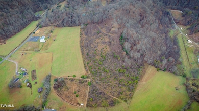 Tbd E Carters Valley Rd, Gate City, VA 24251 - photo 6
