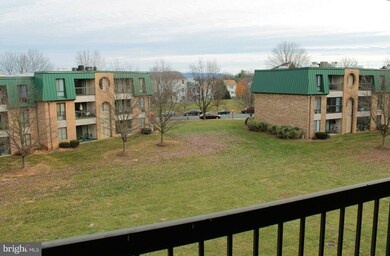 1004 Brinker Dr unit 302, Hagerstown, MD 21740 - photo 6