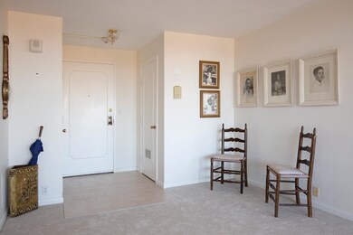 Imperial Towers unit 910, Chestnut Hill, MA 02467 - photo 2