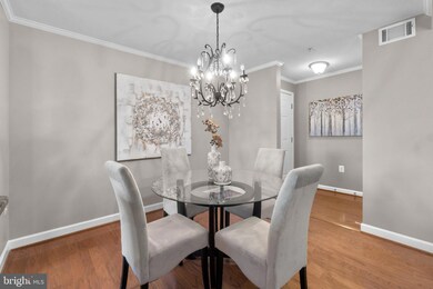 4151 S Four Mile Run Dr unit 302, Arlington, VA 22204 - photo 6