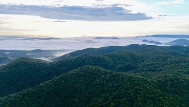 0000 County Road 6061, Flippin, AR 72634 - photo 4